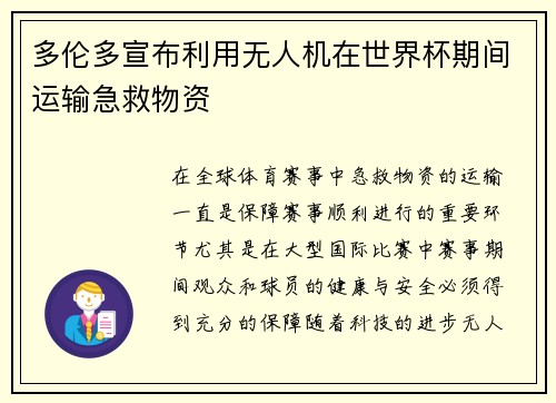 多伦多宣布利用无人机在世界杯期间运输急救物资